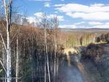 Tract-C Birch Bend Court - Photo 23