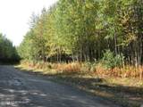 L6 Moose Run Road - Photo 2