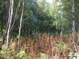 L6 Moose Run Road - Photo 4