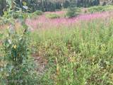 17775 Caribou Hills Rem - Photo 58