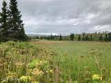 17775 Caribou Hills Rem - Photo 59