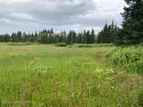 17775 Caribou Hills Rem - Photo 63