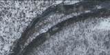 00 No Road - Photo 87