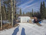 Mile 8.9 Edgerton Hwy - Photo 34