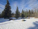 Mile 8.9 Edgerton Hwy - Photo 38