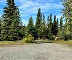 Mile 8.9 Edgerton Hwy - Photo 46