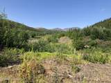 000 Marvel Creek Gold Mine - South - Photo 8