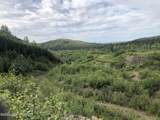 000 Marvel Creek Gold Mine - South - Photo 90