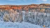 32500 Talkeetna Spur Road - Photo 22