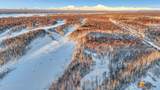 32500 Talkeetna Spur Road - Photo 24