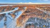 32500 Talkeetna Spur Road - Photo 25