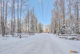 32500 Talkeetna Spur Road - Photo 28