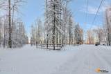 32500 Talkeetna Spur Road - Photo 29