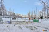 32500 Talkeetna Spur Road - Photo 32