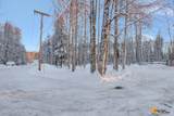 32500 Talkeetna Spur Road - Photo 37
