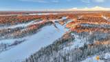 32500 Talkeetna Spur Road - Photo 43