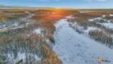 32500 Talkeetna Spur Road - Photo 47