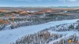 32500 Talkeetna Spur Road - Photo 49