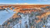 32500 Talkeetna Spur Road - Photo 53