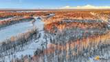 32500 Talkeetna Spur Road - Photo 55
