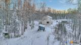 32500 Talkeetna Spur Road - Photo 59