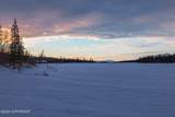 29161 Parks Highway - Photo 48