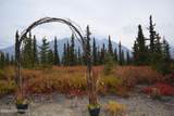 Mile 82.2 Denali Highway - Photo 35