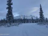 Mile 82.2 Denali Highway - Photo 58