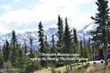 Mile 82.2 Denali Highway - Photo 1