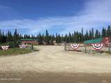 Mile 82.2 Denali Highway - Photo 2