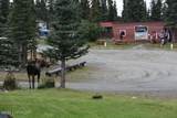 Mile 82.2 Denali Highway - Photo 28