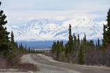 Mile 82.2 Denali Highway - Photo 34