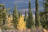 Mile 82.2 Denali Highway - Photo 44