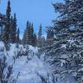 Mile 82.2 Denali Highway - Photo 48