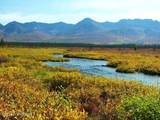 Mile 82.2 Denali Highway - Photo 50