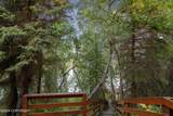 48672 Funny River Road - Photo 11