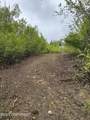 17496 Lesser Canada Drive - Photo 10