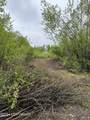 17496 Lesser Canada Drive - Photo 11