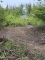 17496 Lesser Canada Drive - Photo 12