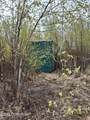 17496 Lesser Canada Drive - Photo 17