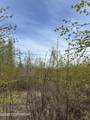 17496 Lesser Canada Drive - Photo 19