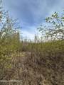 17496 Lesser Canada Drive - Photo 20