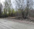 17496 Lesser Canada Drive - Photo 32