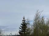 17496 Lesser Canada Drive - Photo 34