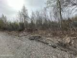 17496 Lesser Canada Drive - Photo 37