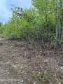 17496 Lesser Canada Drive - Photo 9
