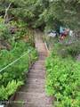 000 Aurora Lagoon / Bear Cove - Photo 19