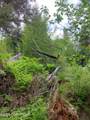 000 Aurora Lagoon / Bear Cove - Photo 32