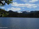 0 Loon Lake - Photo 2