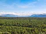 45485 Denaina Drive - Photo 49